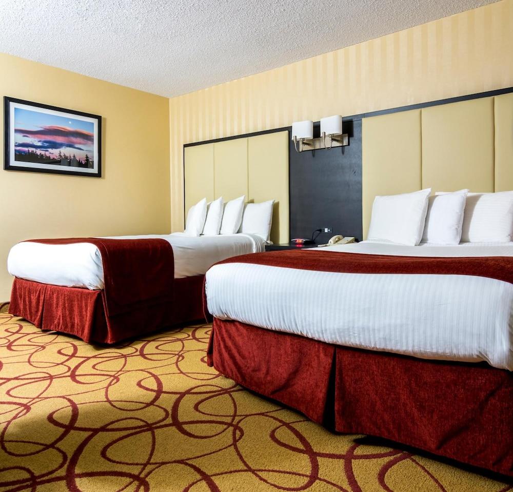 Sinbads Hotel&Suites Gander Exterior foto